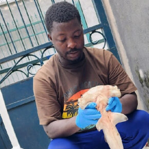 Science and Development Officer